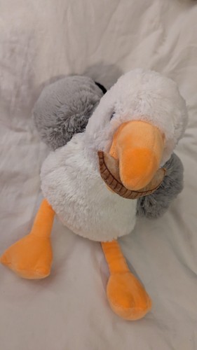 Steven seagull with cornish - steven,